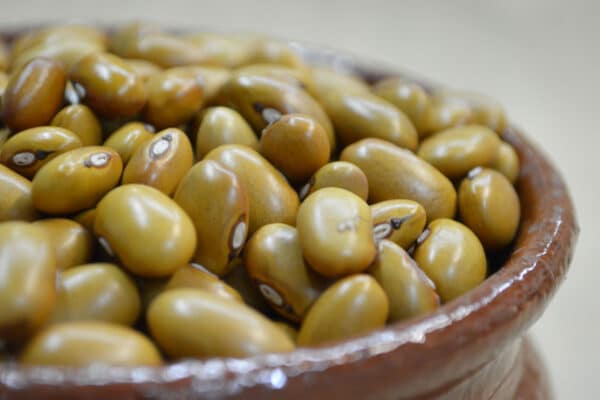 Fagioli amarantini dei volsinii - immagine 3