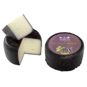 Caciottina affogata al Ciliegiolo di Narni igt