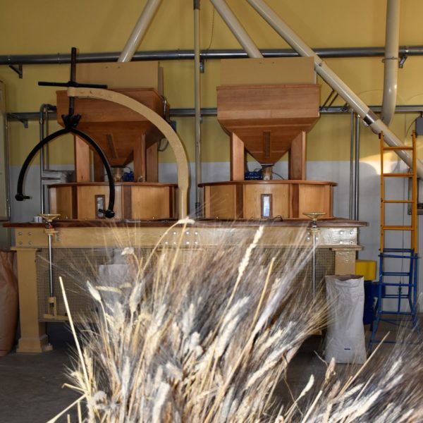 Farina di farro dicoccum - immagine 3