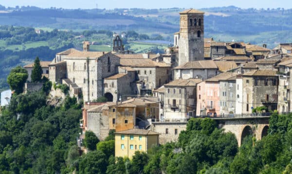 Caciottina affogata al Ciliegiolo di Narni igt - immagine 2