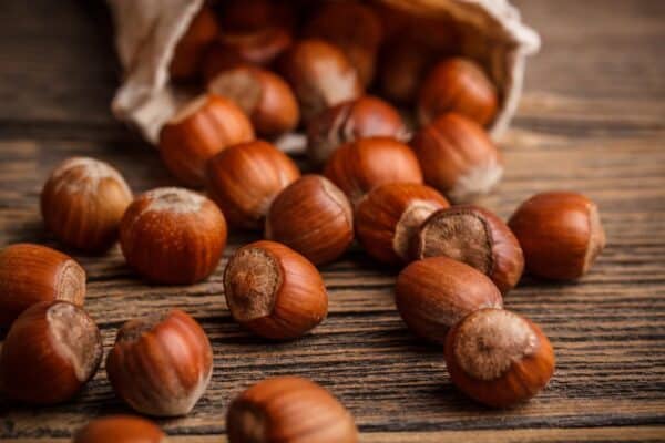 Nocciole " gentile romana" piccante (bio) - immagine 3