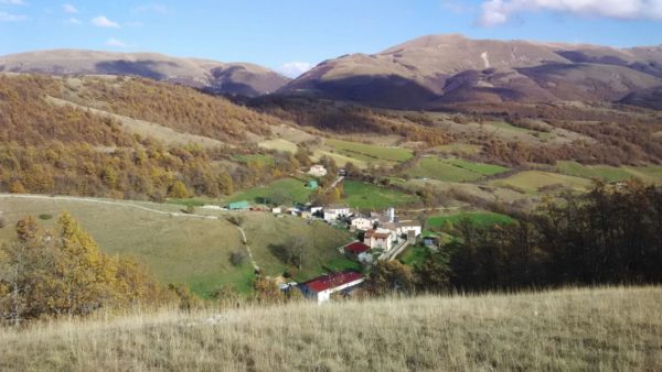 Caciottina alla cipolla - immagine 3