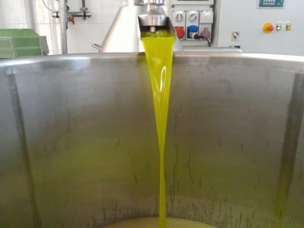 Olio Extra Vergine di Oliva Angelicum Biologico - immagine 4