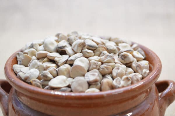 Cicerchie  BIO - immagine 2